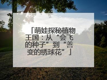 萌娃探秘植物王国：从“会飞的种子”到“善变的绣球花”