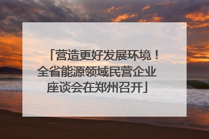 营造更好发展环境！全省能源领域民营企业座谈会在郑州召开