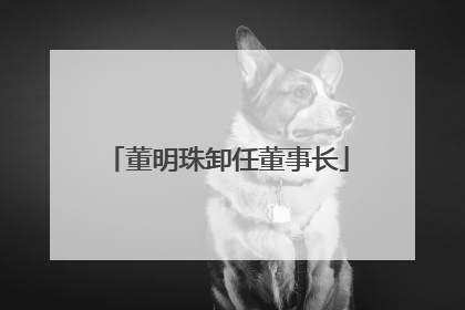 董明珠卸任董事长