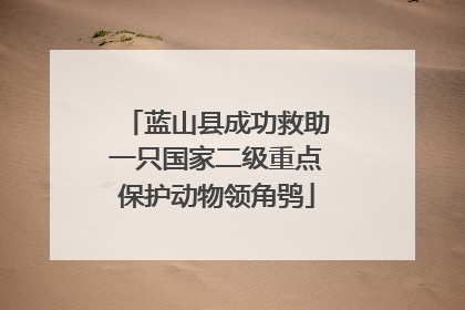 蓝山县成功救助一只国家二级重点保护动物领角鸮