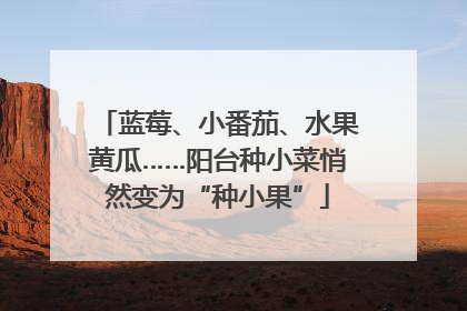蓝莓、小番茄、水果黄瓜……阳台种小菜悄然变为“种小果”