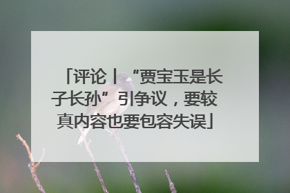 评论丨“贾宝玉是长子长孙”引争议，要较真内容也要包容失误