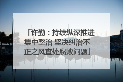 许勤：持续纵深推进集中整治 坚决纠治不正之风查处腐败问题