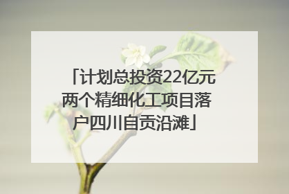 计划总投资22亿元 两个精细化工项目落户四川自贡沿滩