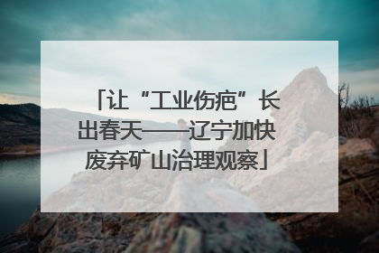 让“工业伤疤”长出春天——辽宁加快废弃矿山治理观察