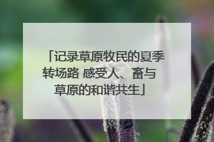 记录草原牧民的夏季转场路 感受人、畜与草原的和谐共生