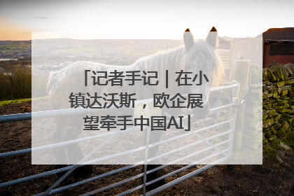 记者手记｜在小镇达沃斯，欧企展望牵手中国AI