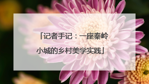 记者手记：一座秦岭小城的乡村美学实践