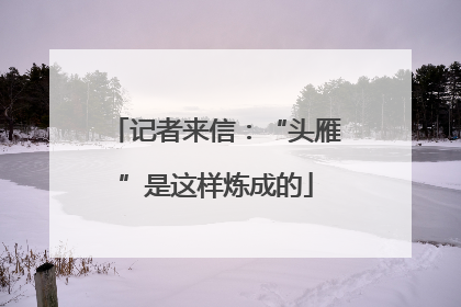记者来信：“头雁”是这样炼成的