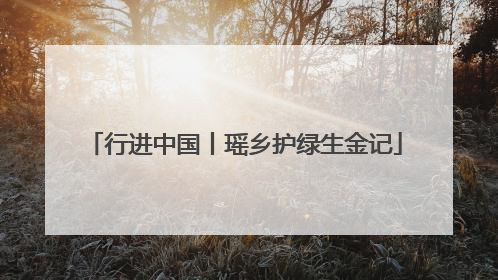 行进中国丨瑶乡护绿生金记