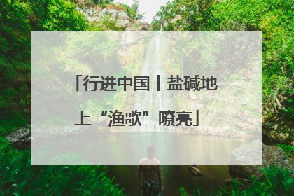 行进中国丨盐碱地上“渔歌”嘹亮