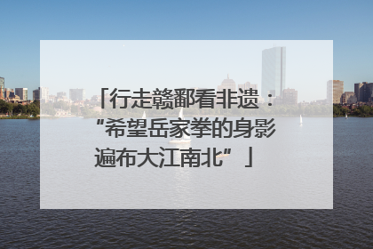 行走赣鄱看非遗：“希望岳家拳的身影遍布大江南北”