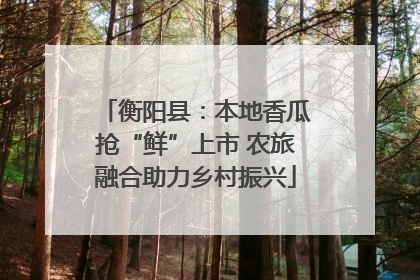 衡阳县：本地香瓜抢“鲜”上市 农旅融合助力乡村振兴