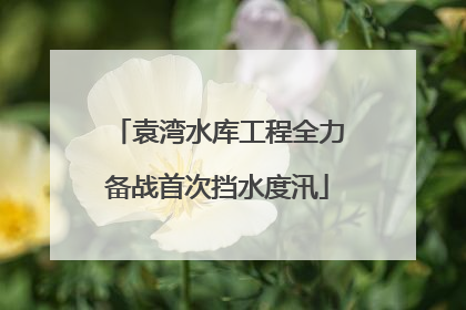 袁湾水库工程全力备战首次挡水度汛