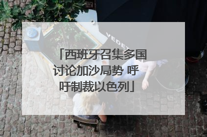 西班牙召集多国讨论加沙局势 呼吁制裁以色列