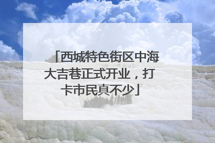 西城特色街区中海大吉巷正式开业，打卡市民真不少