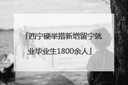 西宁硬举措新增留宁就业毕业生1800余人