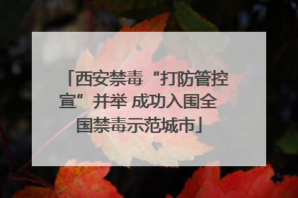西安禁毒“打防管控宣”并举 成功入围全国禁毒示范城市