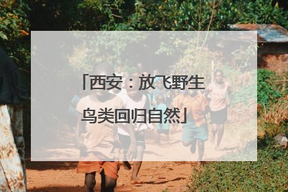 西安：放飞野生鸟类回归自然