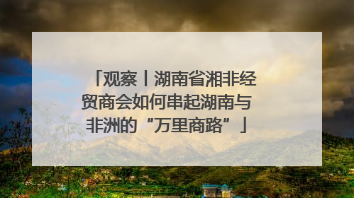 观察丨湖南省湘非经贸商会如何串起湖南与非洲的“万里商路”