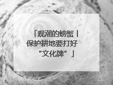 观潮的螃蟹丨保护耕地要打好“文化牌”