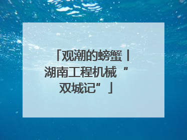 观潮的螃蟹丨湖南工程机械“双城记”