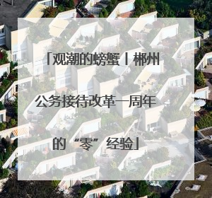 观潮的螃蟹丨郴州公务接待改革一周年的“零”经验