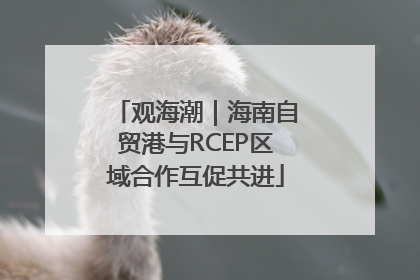 观海潮｜海南自贸港与RCEP区域合作互促共进