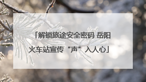 解锁旅途安全密码 岳阳火车站宣传“声”入人心