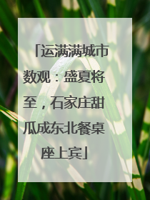 运满满城市数观：盛夏将至，石家庄甜瓜成东北餐桌座上宾