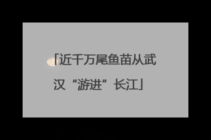 近千万尾鱼苗从武汉“游进”长江