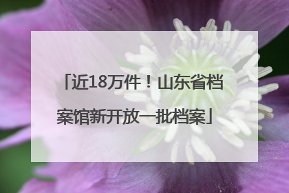 近18万件！山东省档案馆新开放一批档案