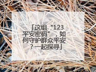 这组“123平安密码”，如何守护群众平安？一起探寻