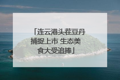 连云港头茬豆丹捕捉上市 生态美食大受追捧
