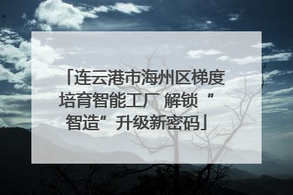 连云港市海州区梯度培育智能工厂 解锁“智造”升级新密码