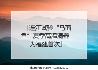 连江试验“马面鱼”夏季高温混养 为福建首次