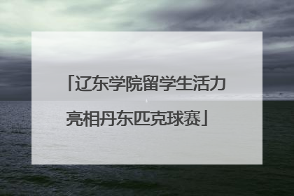 辽东学院留学生活力亮相丹东匹克球赛
