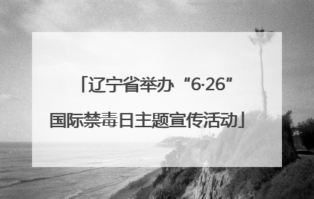 辽宁省举办“6·26”国际禁毒日主题宣传活动