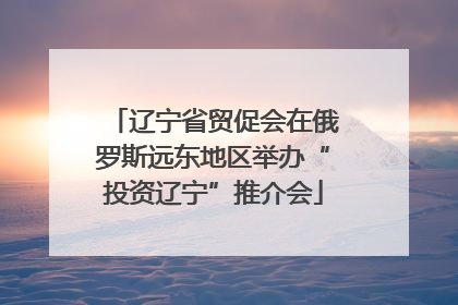 辽宁省贸促会在俄罗斯远东地区举办“投资辽宁”推介会