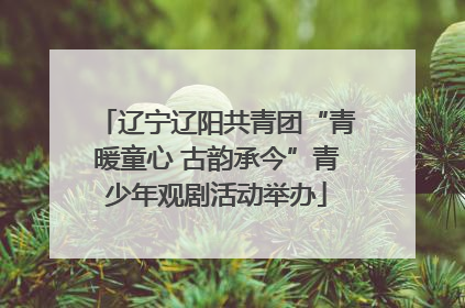 辽宁辽阳共青团“青暖童心 古韵承今”青少年观剧活动举办