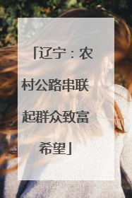 辽宁：农村公路串联起群众致富希望
