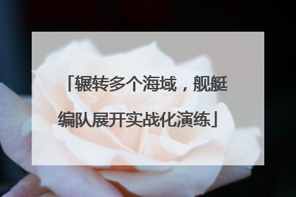 辗转多个海域，舰艇编队展开实战化演练