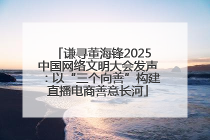 谦寻董海锋2025中国网络文明大会发声：以“三个向善”构建直播电商善意长河