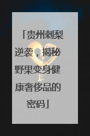 贵州刺梨逆袭，揭秘野果变身健康奢侈品的密码