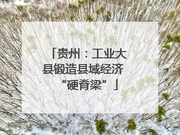 贵州：工业大县锻造县域经济“硬脊梁”