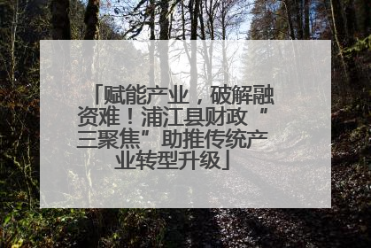 赋能产业，破解融资难！浦江县财政“三聚焦”助推传统产业转型升级