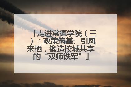 走进常德学院（三）：政策筑基、引凤来栖，锻造校城共享的“双师铁军”