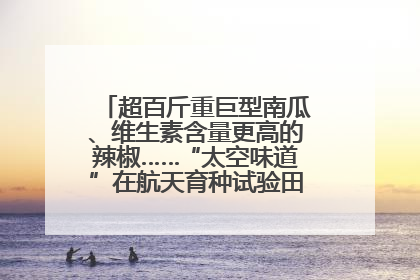 超百斤重巨型南瓜、维生素含量更高的辣椒……“太空味道”在航天育种试验田里拔节生长