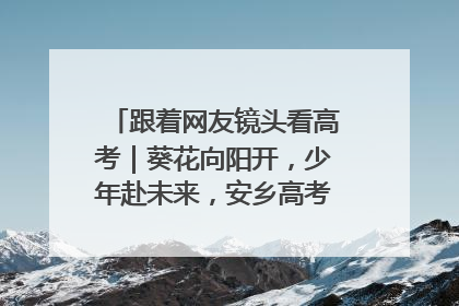跟着网友镜头看高考｜葵花向阳开，少年赴未来，安乡高考首日的希望图景