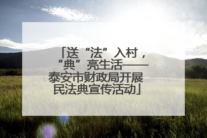 送“法”入村，“典”亮生活——泰安市财政局开展民法典宣传活动